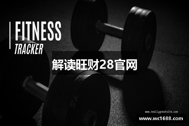 解读旺财28官网